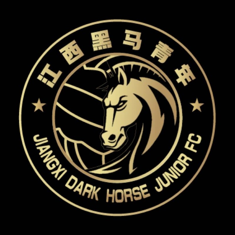  官方：江西黑馬青年完成異地遷移程序，更名為溫州職業(yè)足球俱樂部